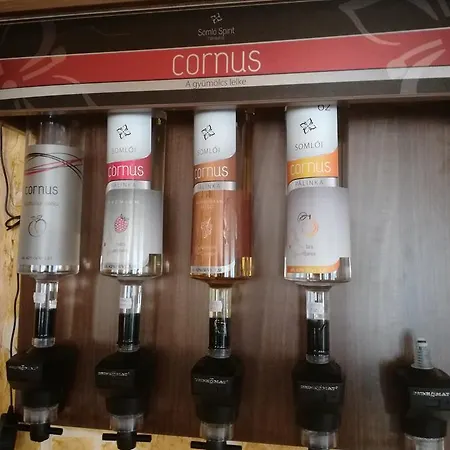 Kek Panzio * Szilvásvárad